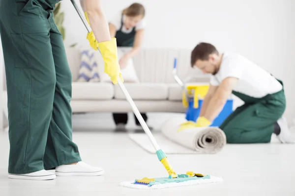 Burns Carpet Cleaning Professional Service